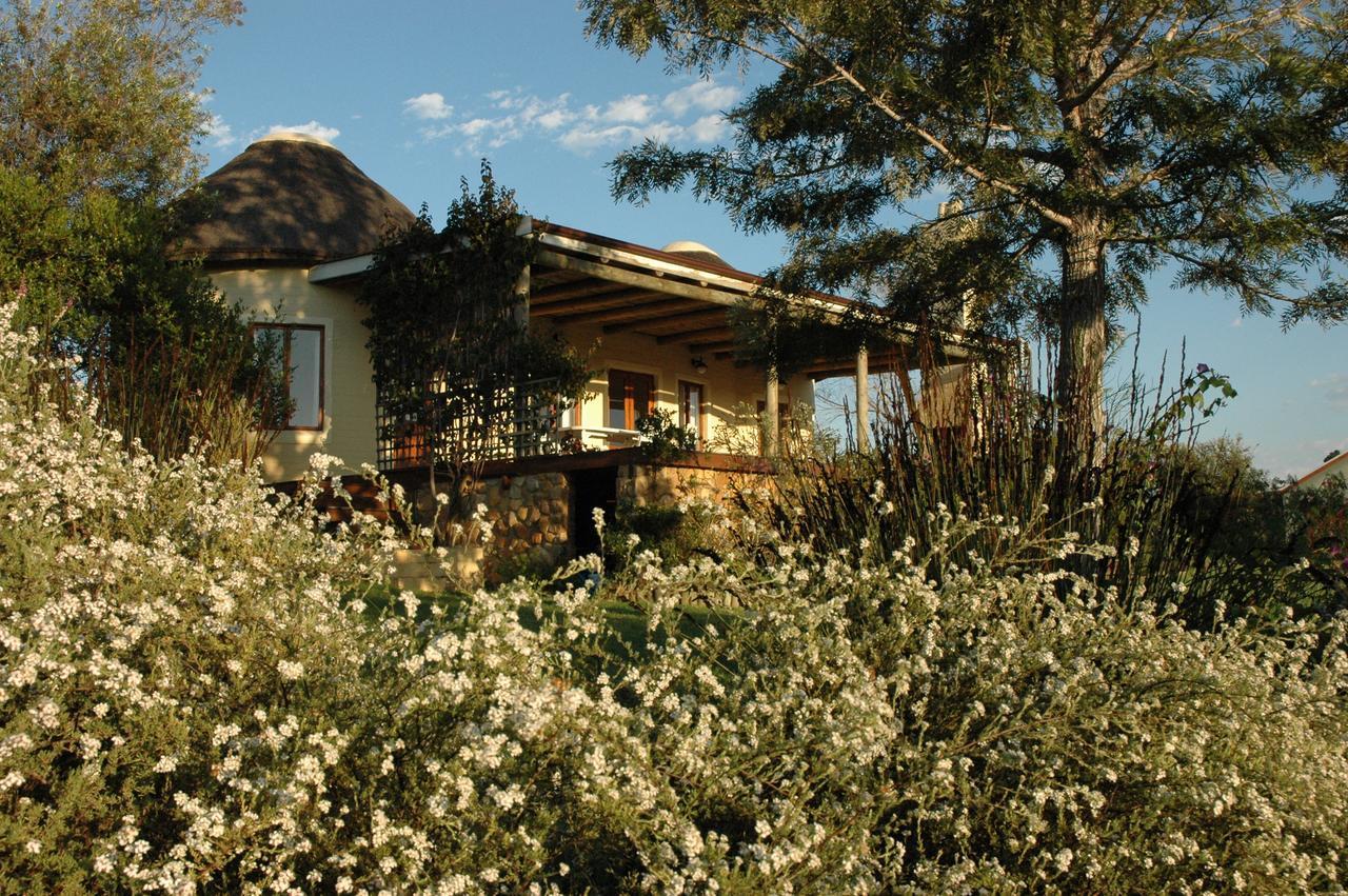 Forest Hills Knysna Kültér fotó