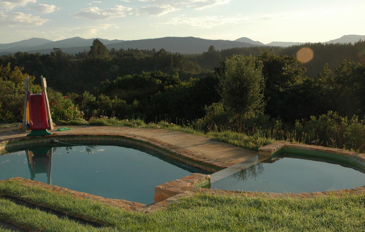 Forest Hills Knysna Kültér fotó
